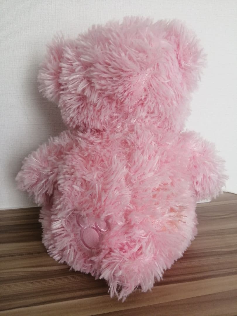 WDW ダッフィー ディズニー ピンク　Disney land sea