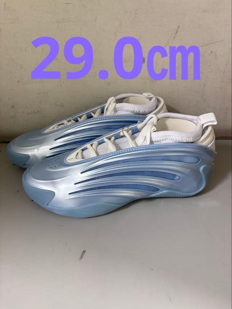 今日のゲリラ価格HARDEN vol.9 29.0㎝