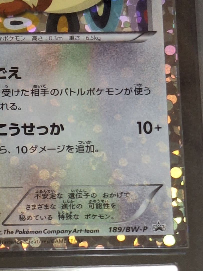 ARS10 イーブイ イーブイコレクションファイル PSA10 相当 プロモ