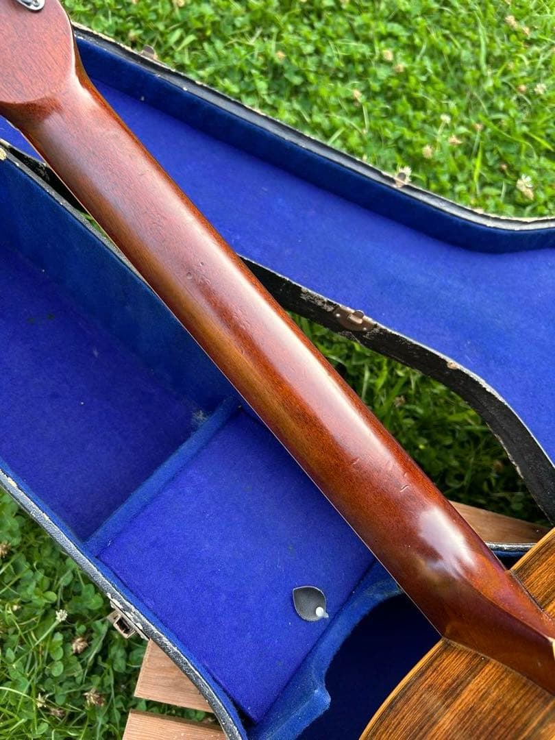 YAMAKI チビロゴヘッド　レアー