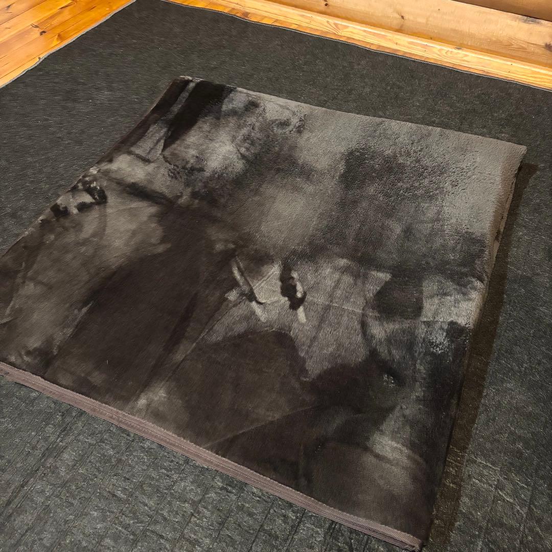 Panasonic ホットカーペット 電気カーペット DC-2NKC10-T