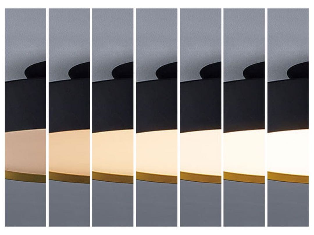 FLYMEe Noir フライミーノワール/ LED Ceiling Lamp