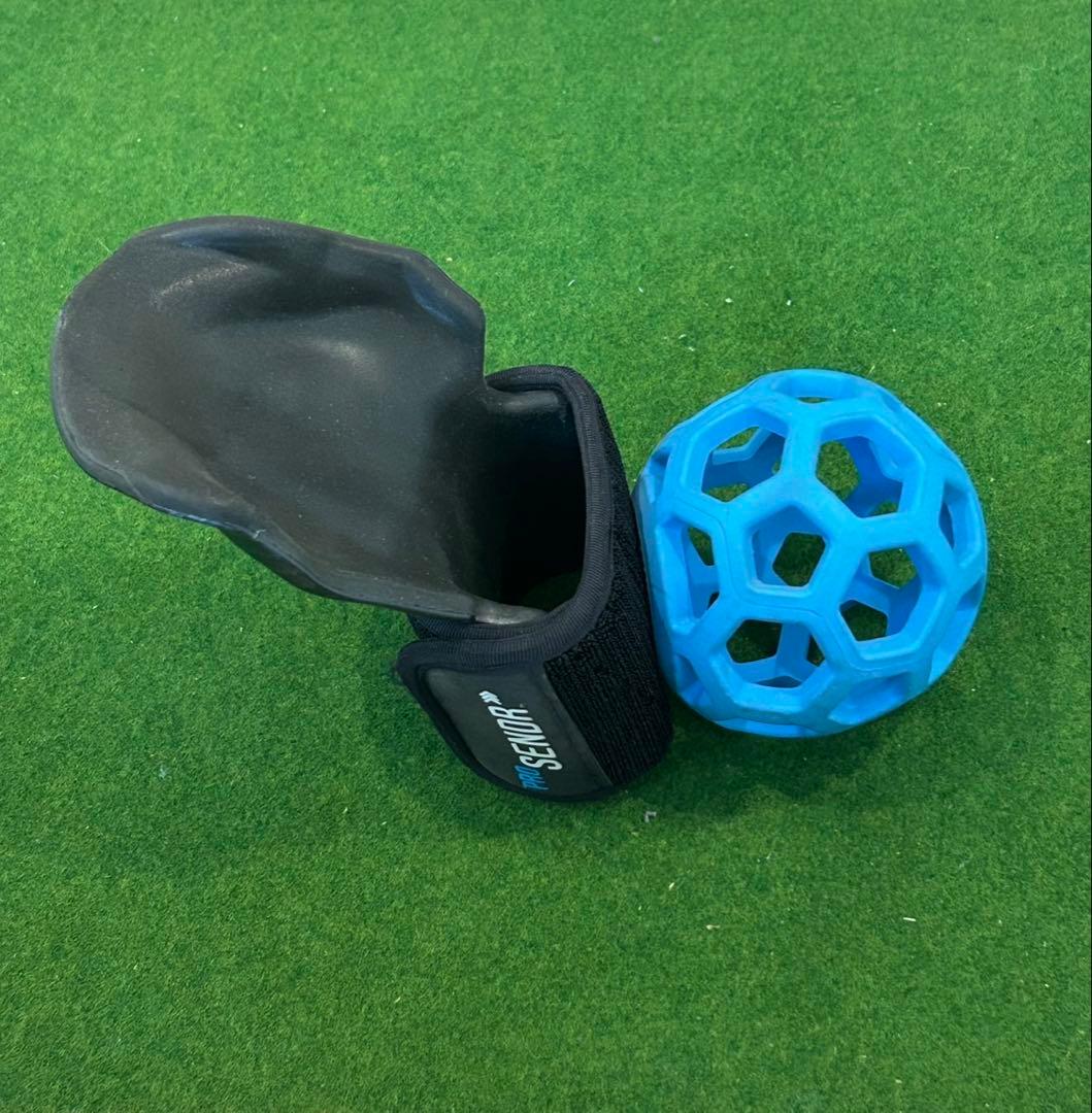 PROSENDR ゴルフ練習器具