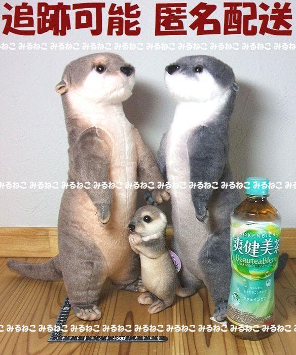 特大 アートドール リアルアニマルズ カワウソ 全2種 おねだり 未使用 セット