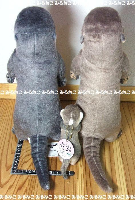 特大 アートドール リアルアニマルズ カワウソ 全2種 おねだり 未使用 セット