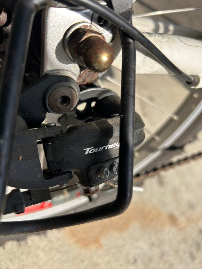 【送料込】LOUIS GARNEAU クロスバイク キッズバイク ルイガノ