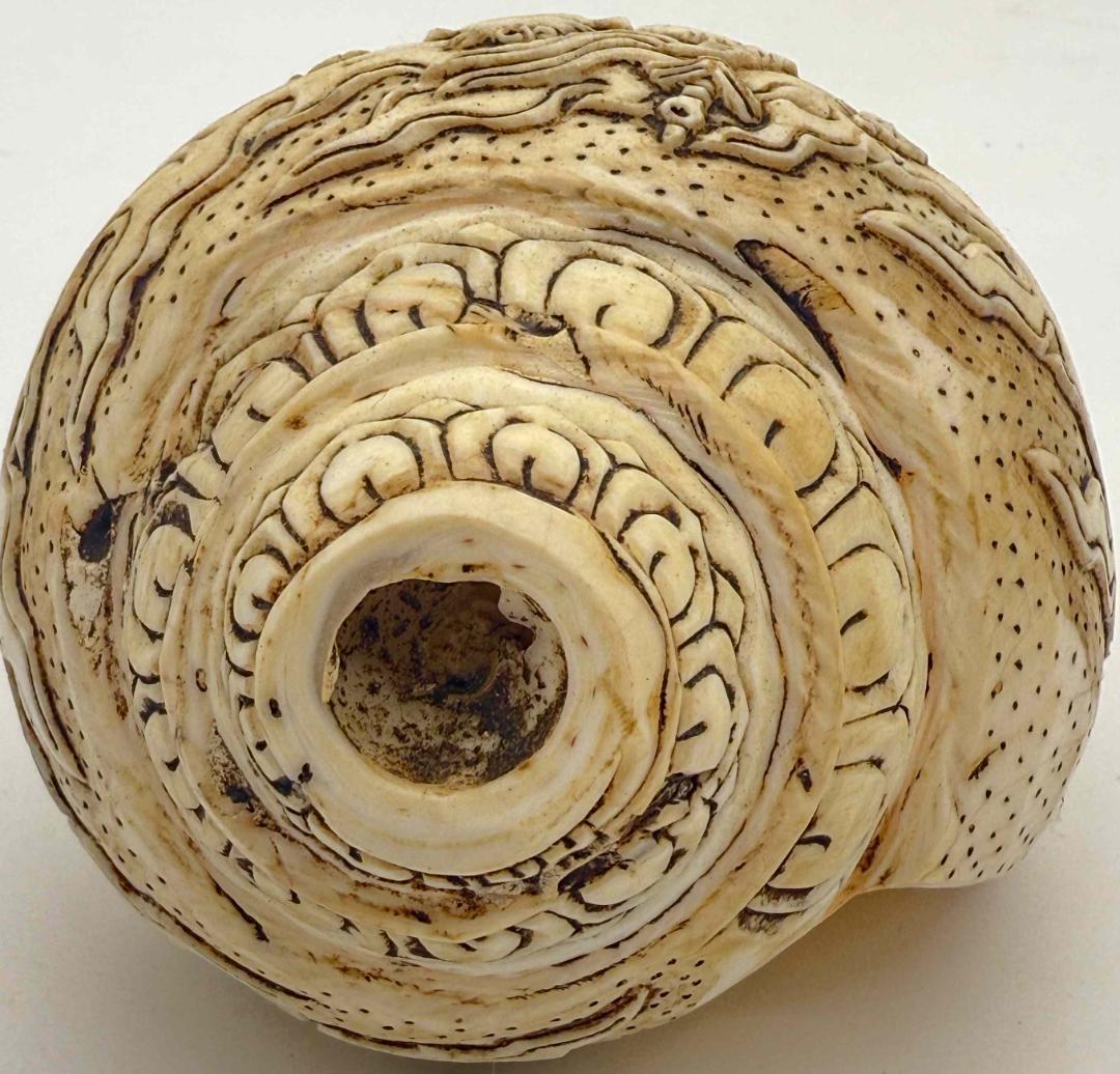 チベット密教法具　法螺貝（シャンカ）チティパティ-2