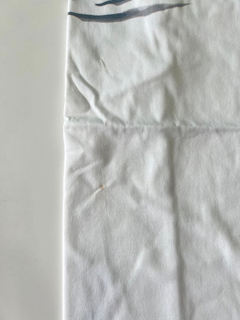 メガバス 激レア デッドストック Tシャツ & サンバイザーセット！