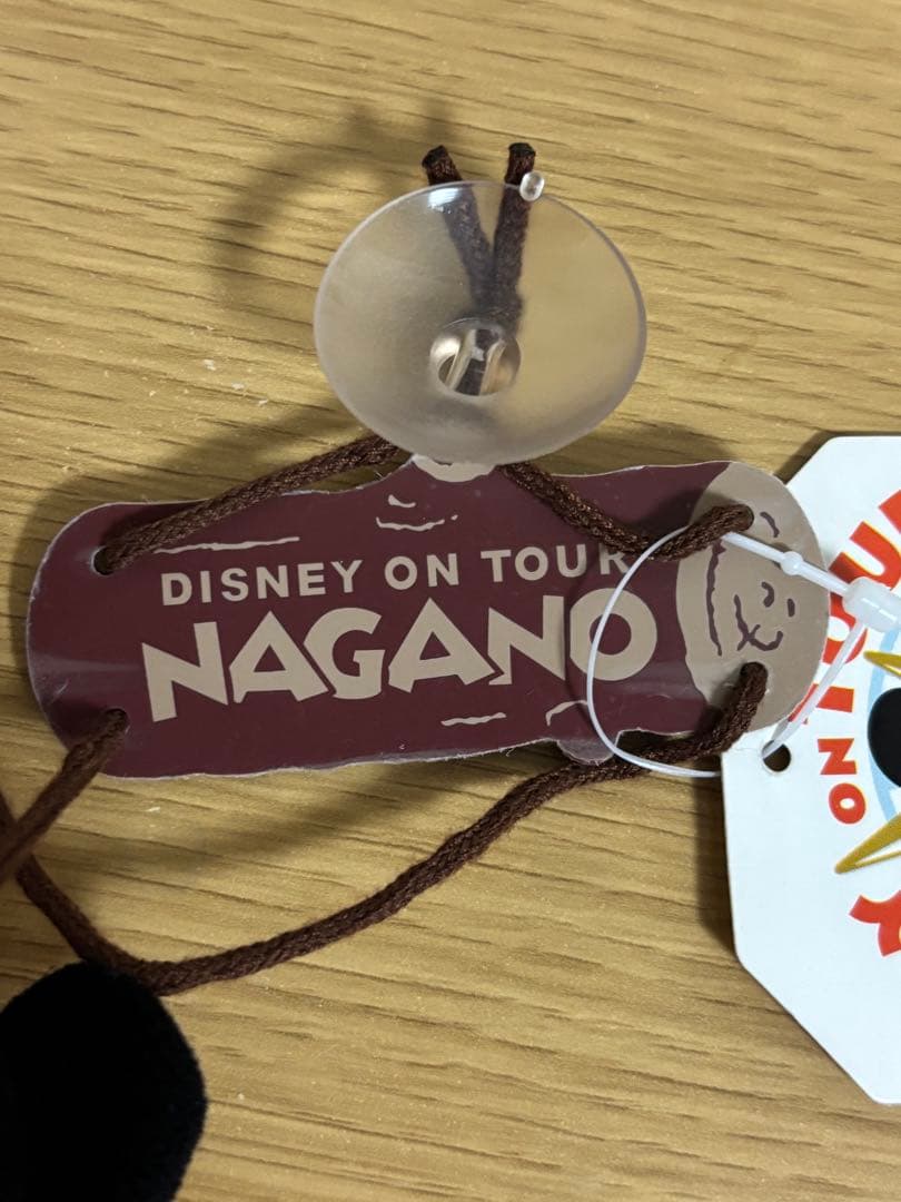 激レア　ディズニーオンツアー 長野 ミニー　ブランコ　ぬいぐるみ　#1