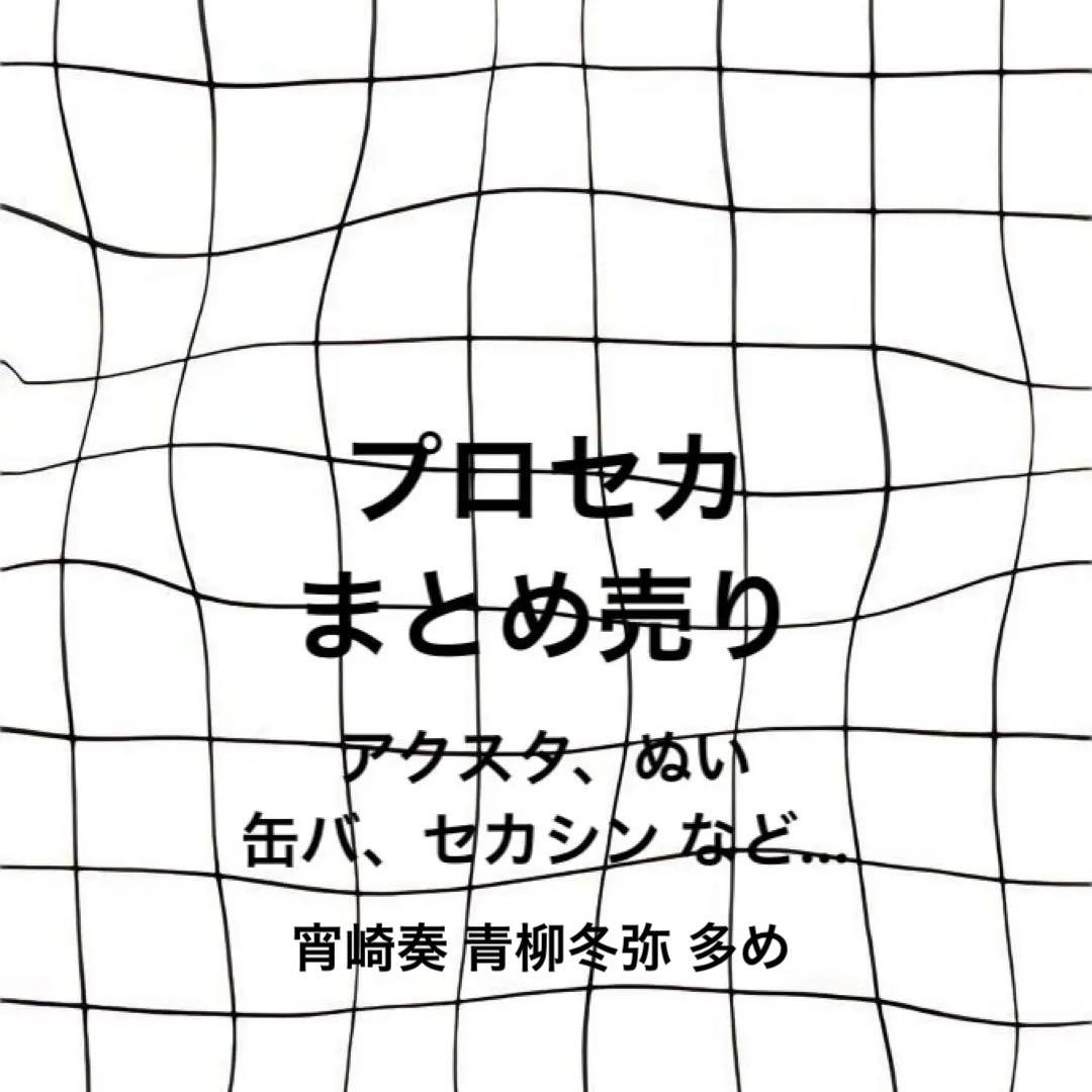 プロセカ まとめ売り 宵崎奏メイン