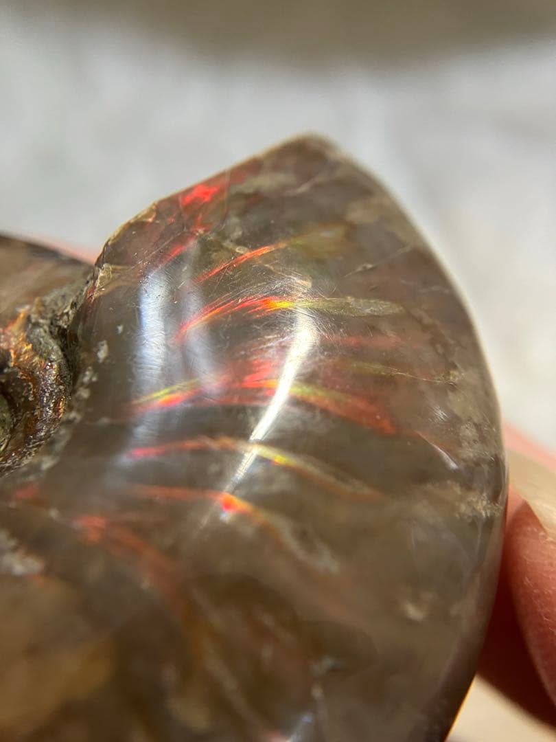 天然石 アンモライト アンモナイト 73g 6.5cmマダガスカル 鉱物標本