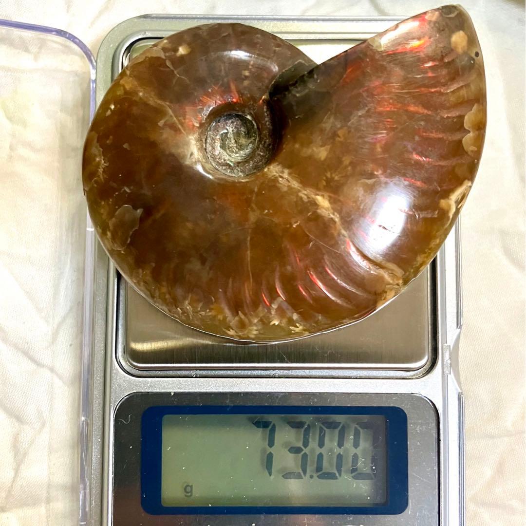 天然石 アンモライト アンモナイト 73g 6.5cmマダガスカル 鉱物標本