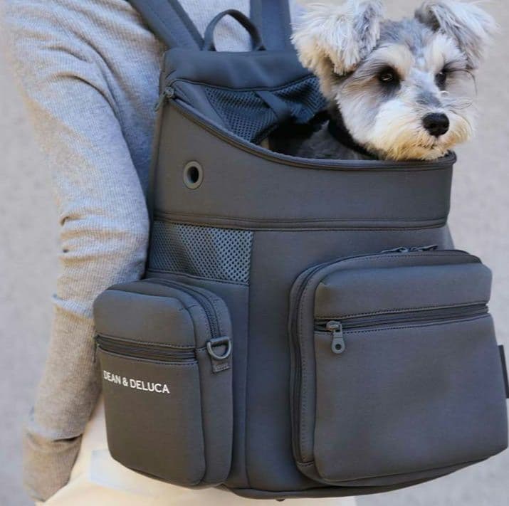 DEAN ＆ DELUCA｜CITYDOG バックパックキャリー/M