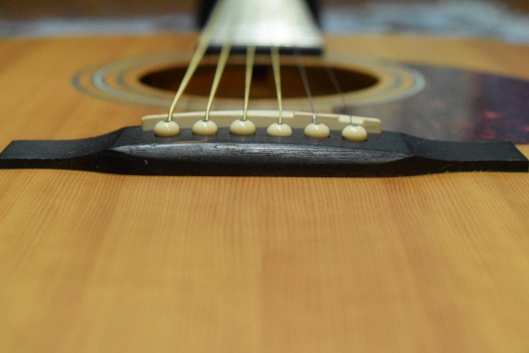 Stafford エレアコ SF-3D/NT 動作良好 ケース付き 新品弦