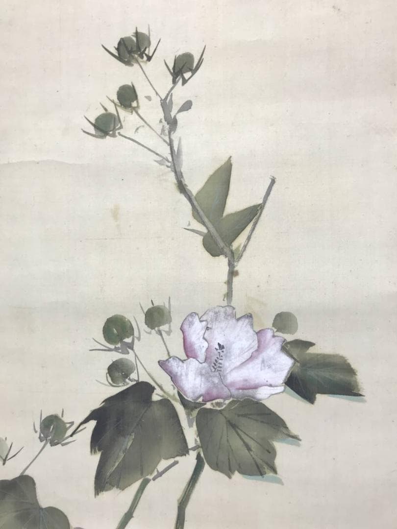 西山完瑛/芙蓉に犬図/花鳥図/掛軸/名家伝来/AC-343