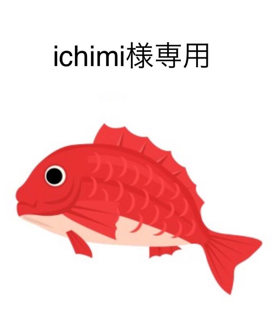タイラバ　タングステン　ichimi