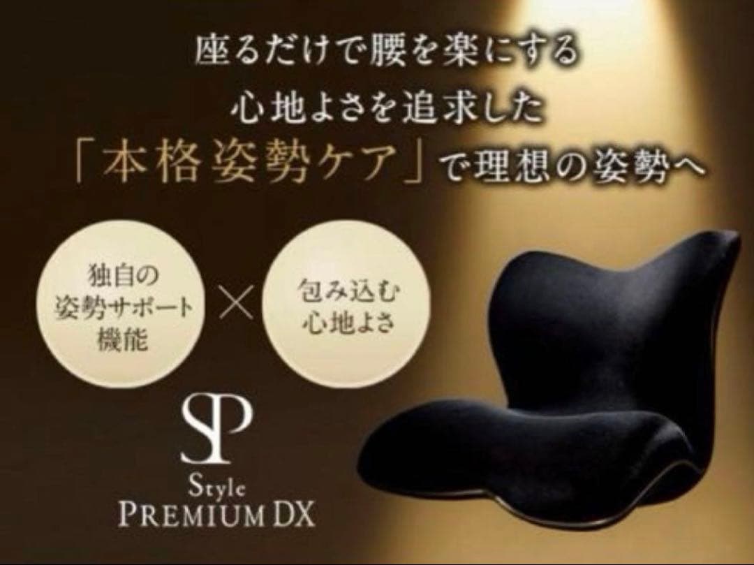 【極美品】MTG Style PREMIUM DX 姿勢矯正　骨盤 サポート 黒