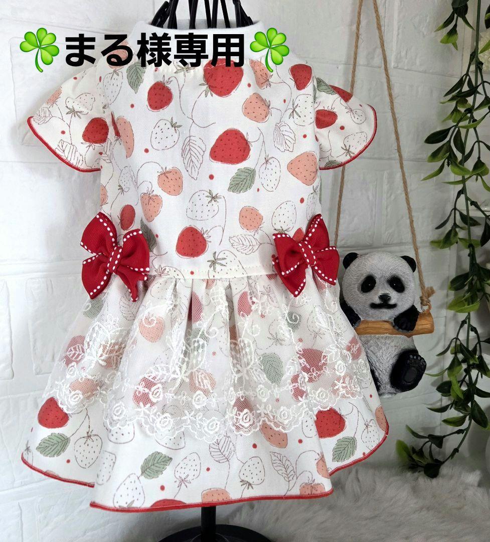 ハンドメイド犬服・シンプルベリー柄・ギャザーたっぷりエレガントワンピース