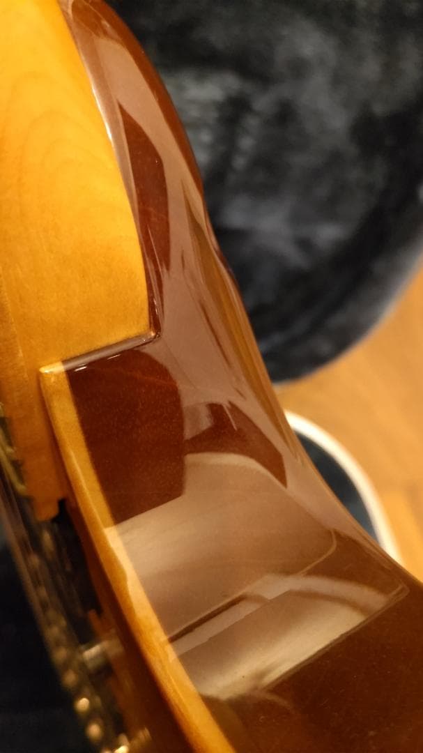 Ann　Ibanez RG8670 VV J-CUSTOM