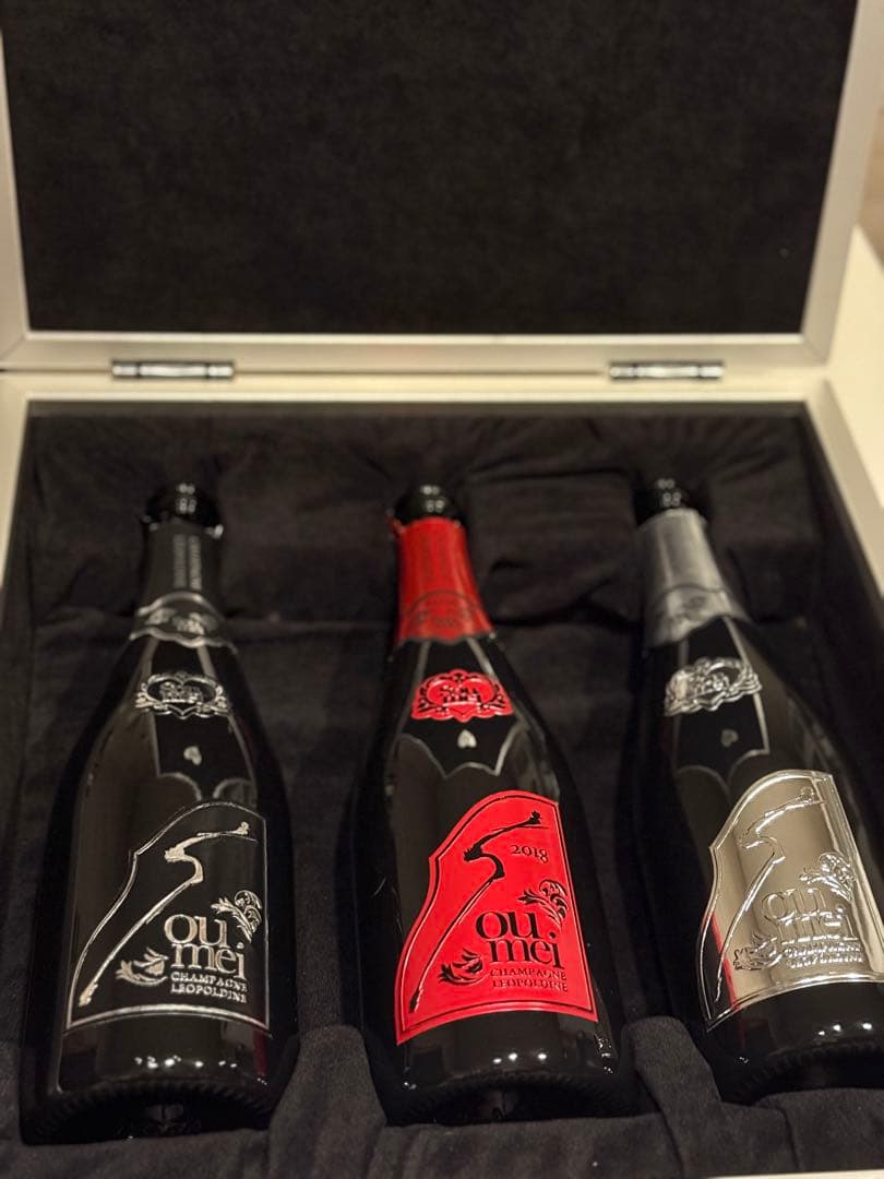 ソウメイアタッシュケース空ビン付