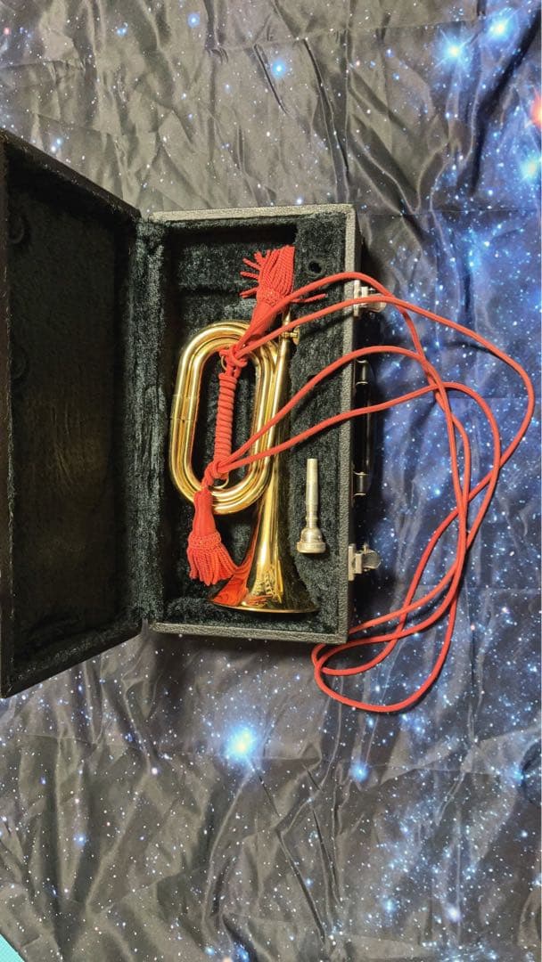 金色トランペット ケース付き