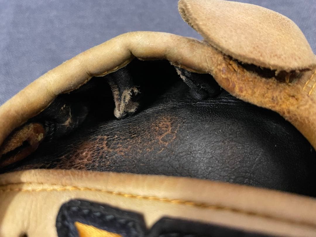 ザナパワー　ザナックス　野球 硬式グローブ 一般用　大人　右投げ　グラブ　右利き