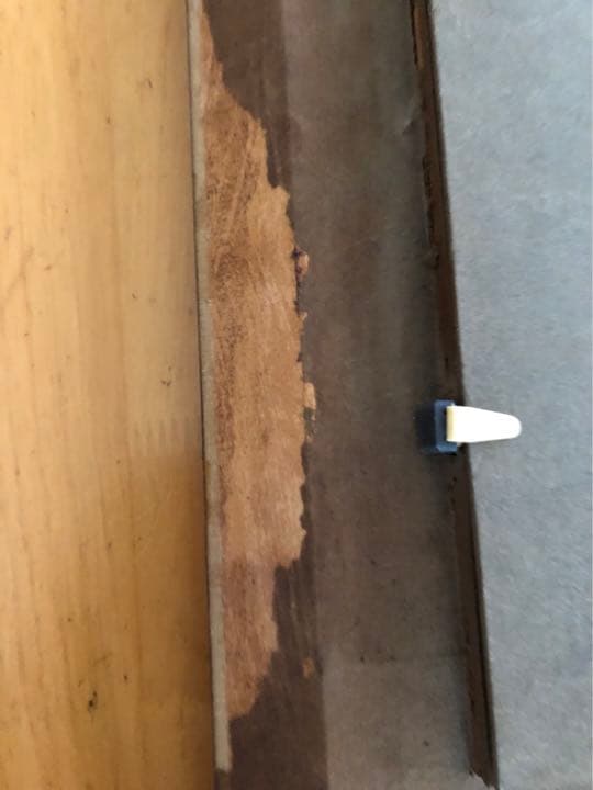 磯部晶子　春の詩