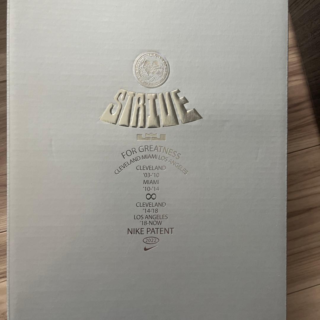 バッシュ　LEBRON XX SE (GS) 23.5㎝