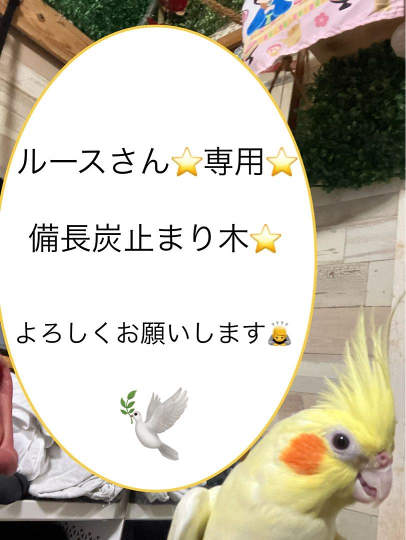 備長炭止まり木⭐️パーチ⭐️止まり木⭐️専用です♪(๑>◡<๑)✨