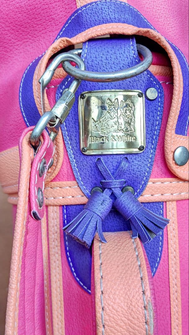 レディースゴルフクラブ