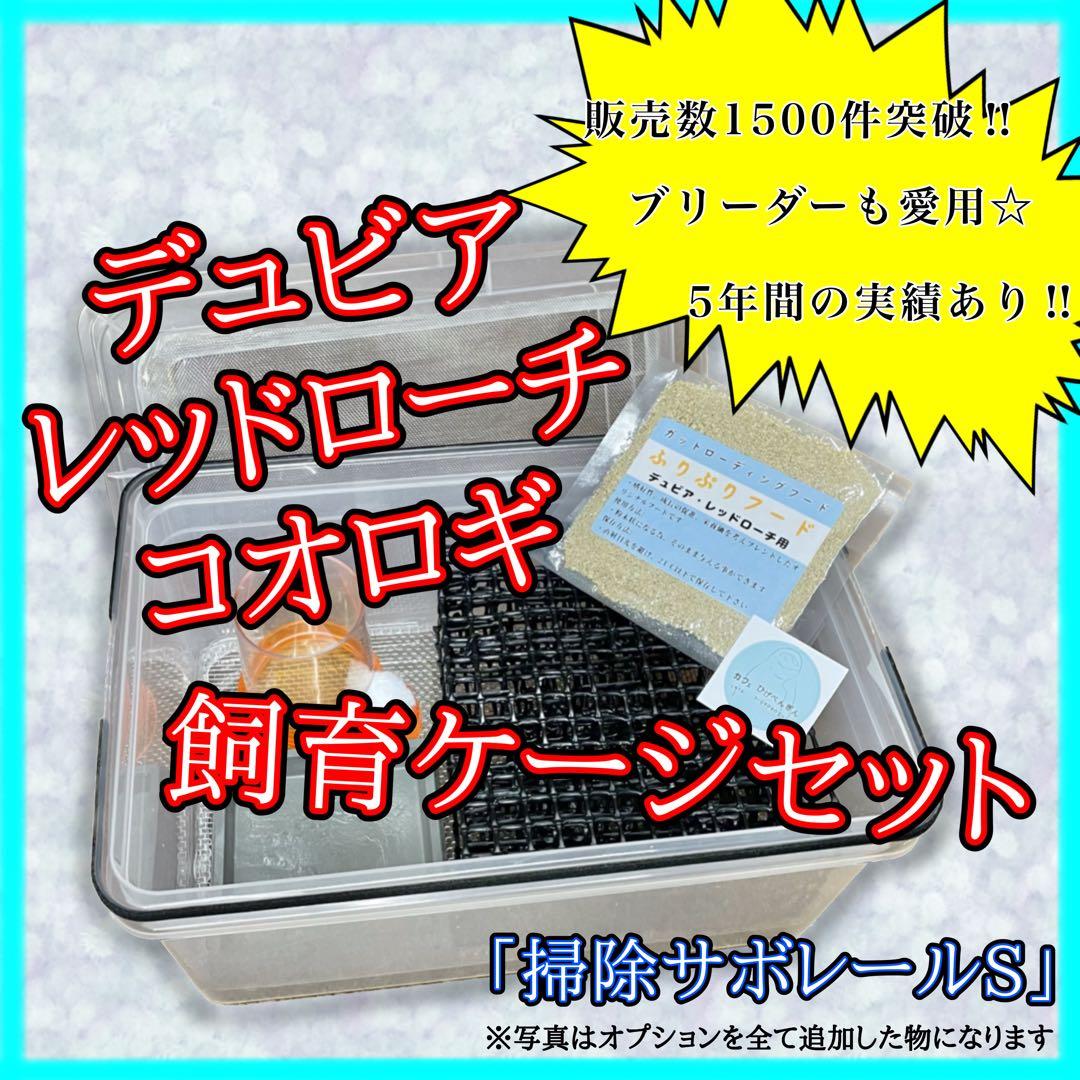 Piiiiiiiiii様　S ((フル))