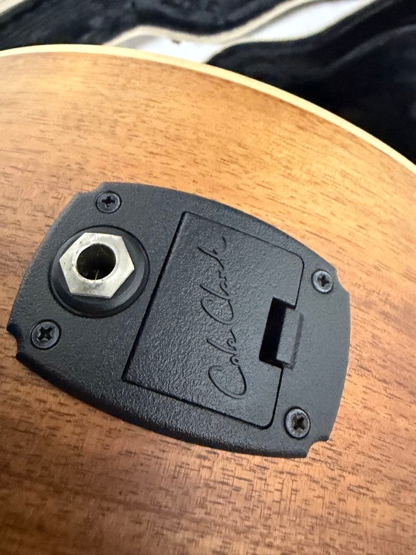 ギター UIUI ColeClark FL2EC RDBW FatLady2