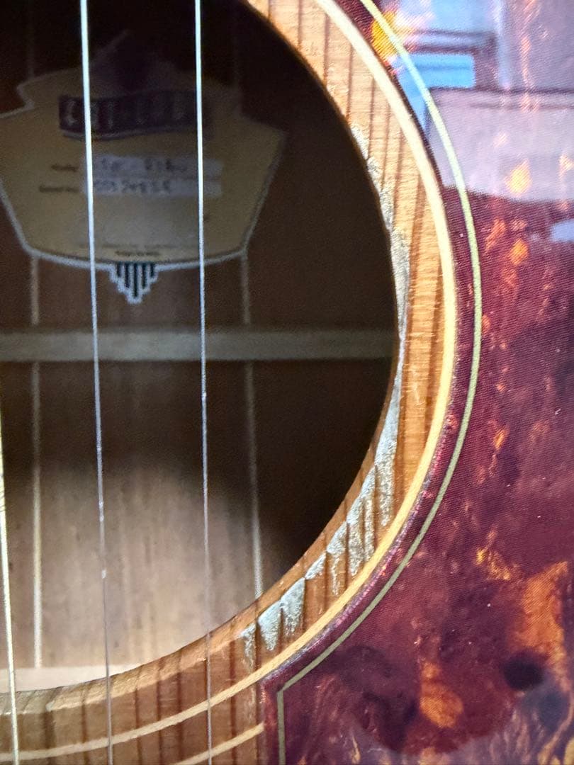 ギター UIUI ColeClark FL2EC RDBW FatLady2