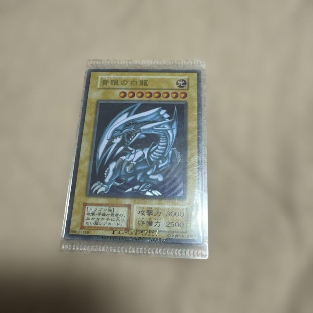 青眼の白龍　ステンレス製