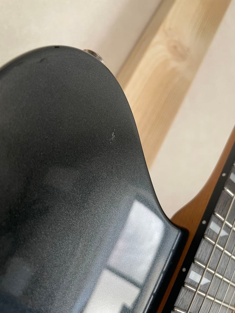 【保証書•純正ソフトケース】RYOGA SKATER/LE LBK