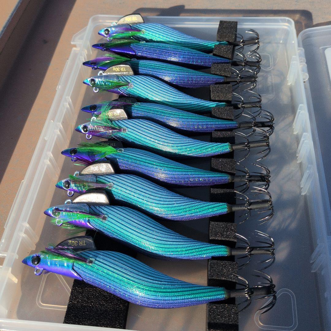 ダートマックス　TR tr 　パープル　ボーダー　グリーン１０個セット