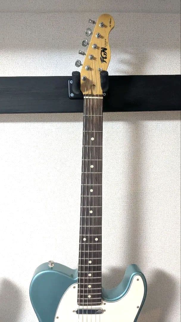 FUJIGEN テレキャスター (NTL10RAL-OTM)