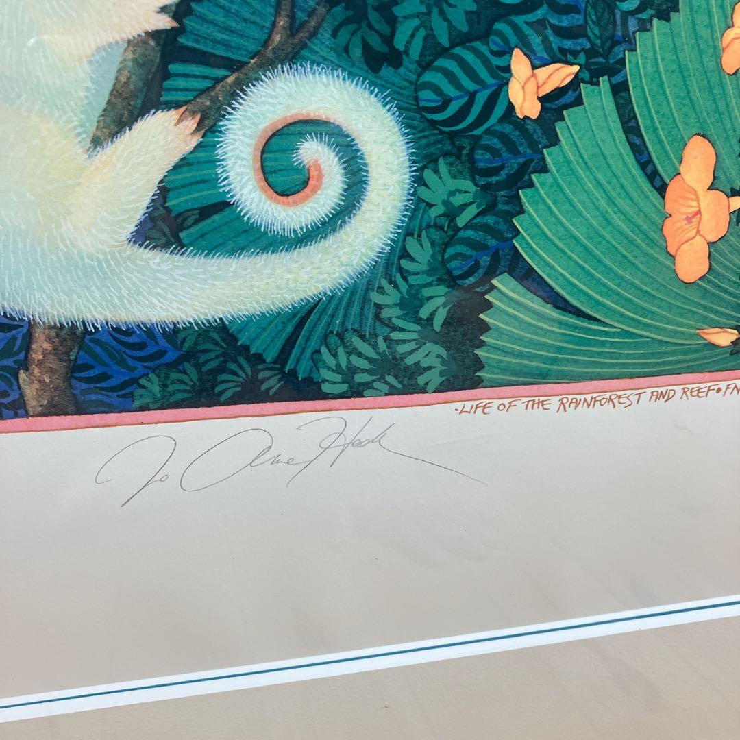 希少　ジョアン フック 絵画　リトグラフ　熱帯の動物たち　235/900