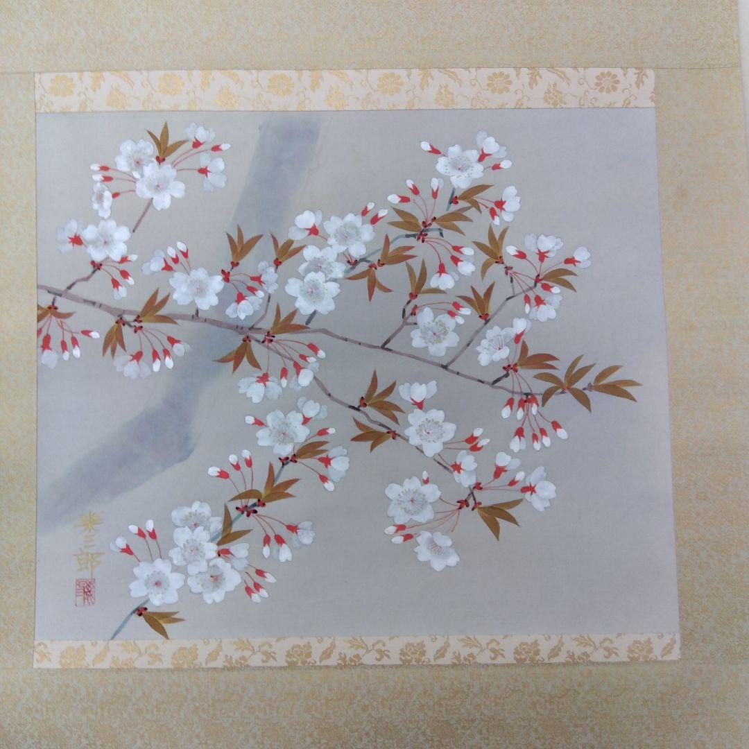 掛け軸　桜　春　橋口幾三郎