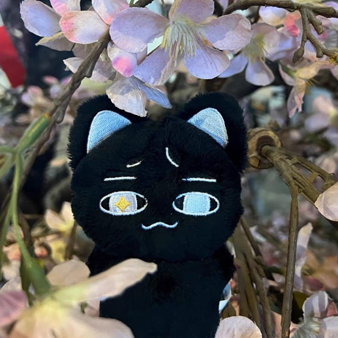 p1harmony テオ ぬいぐるみ 10cm 新品　マスター