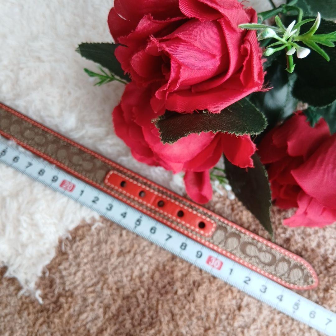 新品　未使用　COACH　コーチ　犬　シグネチャー　首輪　レア　XS　小型犬