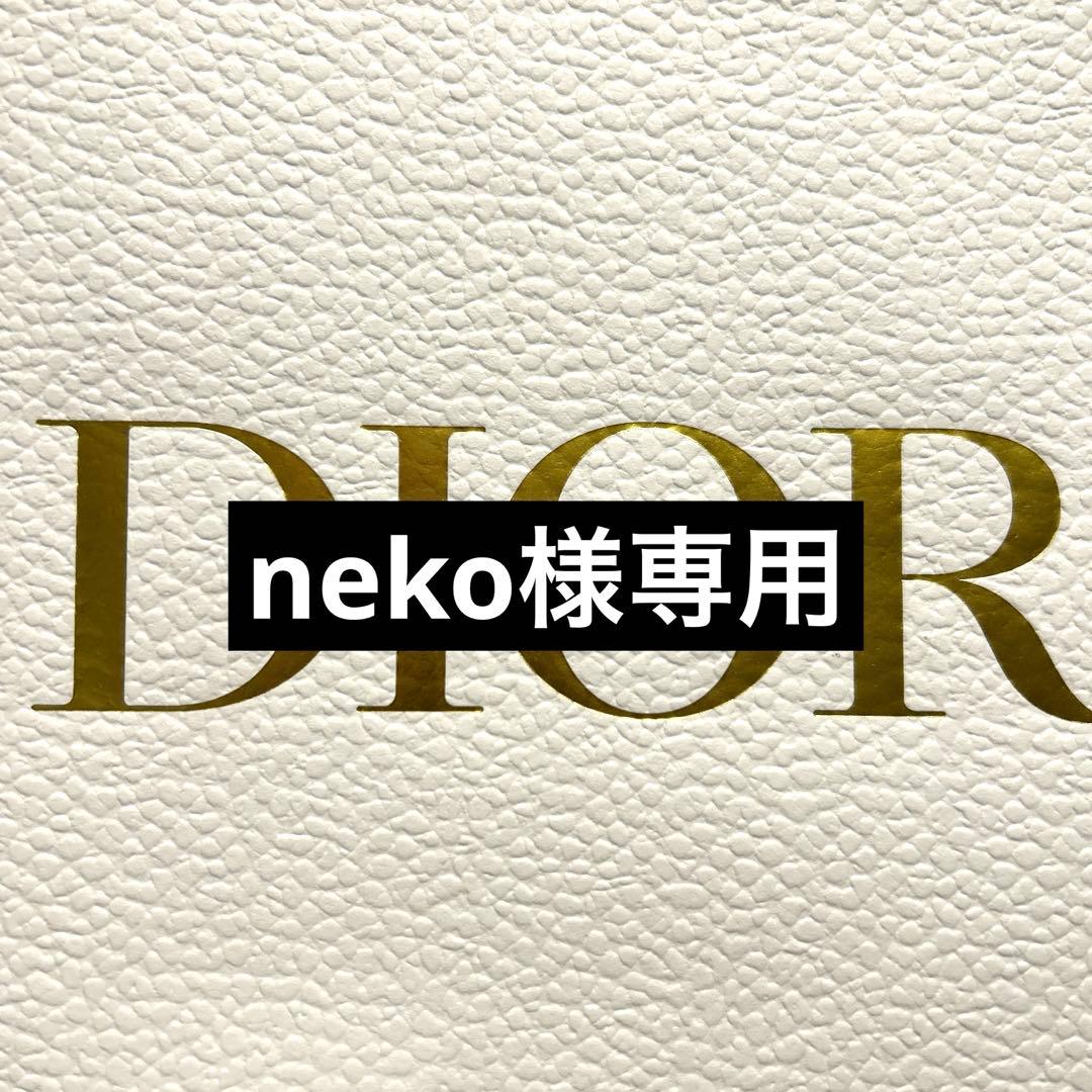 Dior 手提げ袋