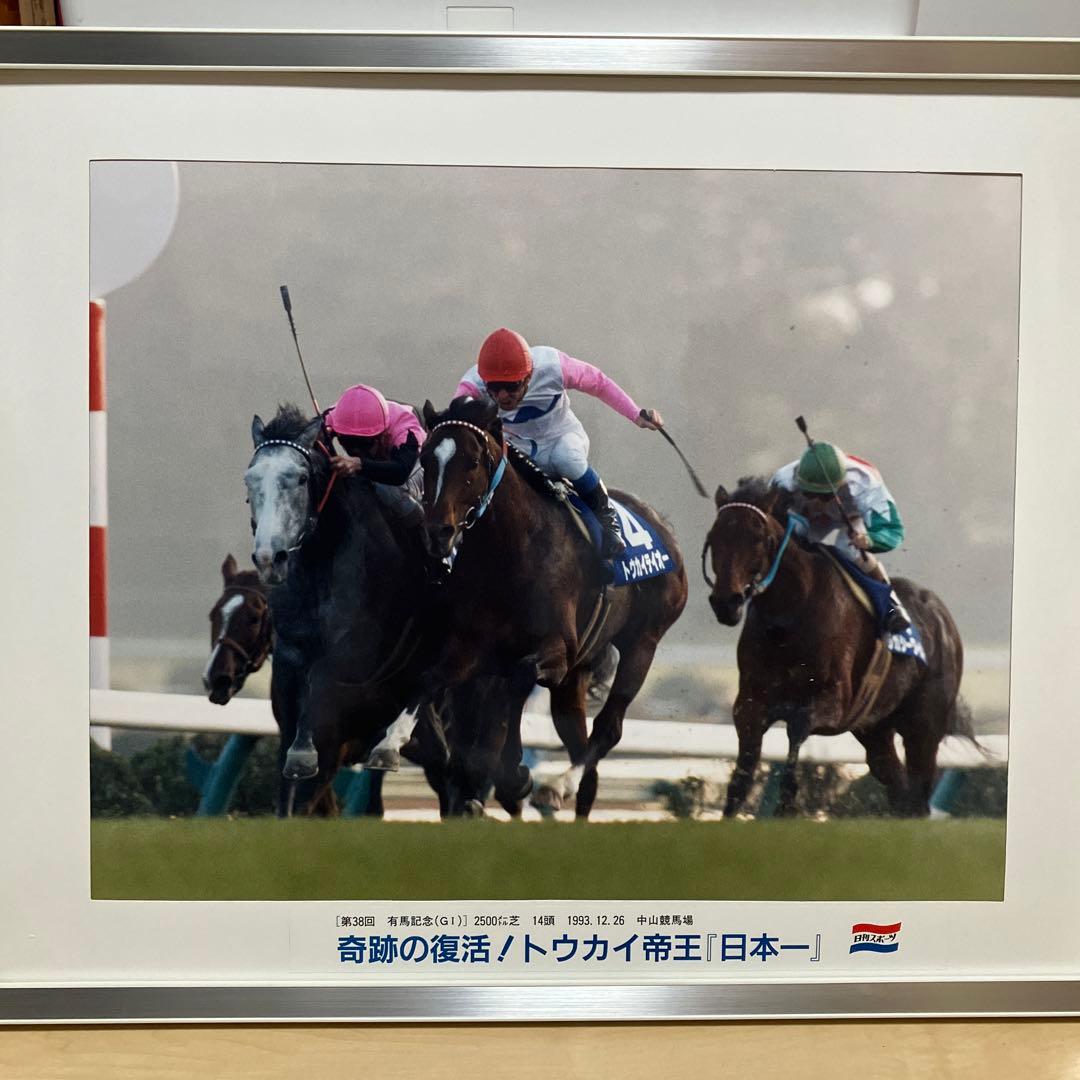 日刊スポーツ　トーカイテイオー公式パネル写真