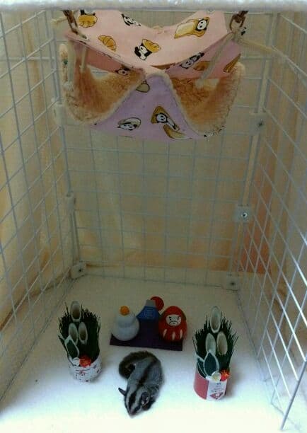 モモンガハウス (パンダカフェ柄ピンク)ボアベージュ 2000円