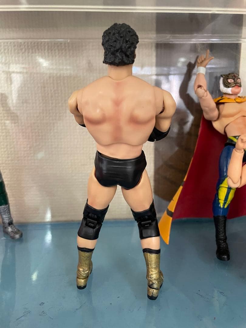 S.H.フィギュアーツ　天龍源一郎　カスタムフィギュア