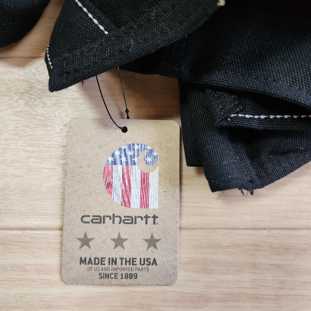 carhartt　ペガサス