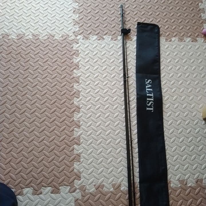 ダイワ　ソルティスト　711ML