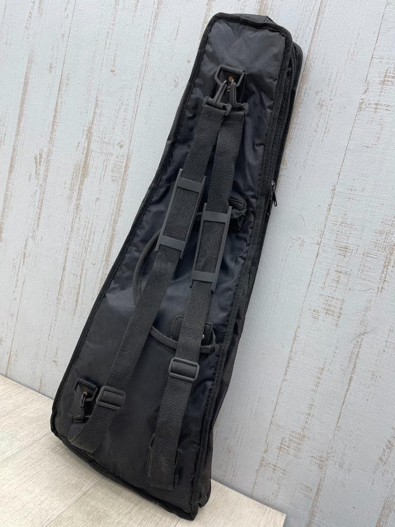 Pignose トラベルギター アンプ内蔵 ミニギター 音出し確認 ソフトケース