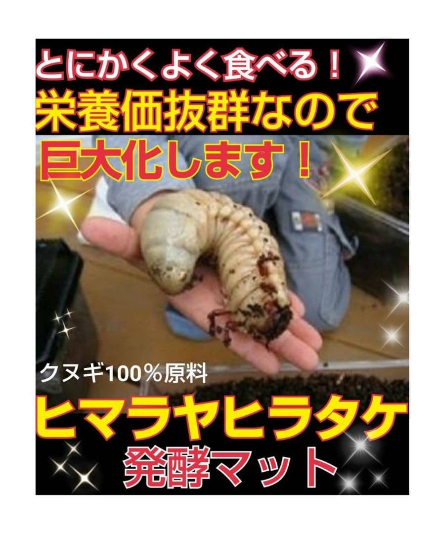 カブトムシ幼虫の餌　大きくなる！発酵マット【6袋】雑虫が湧きません！すぐ使える
