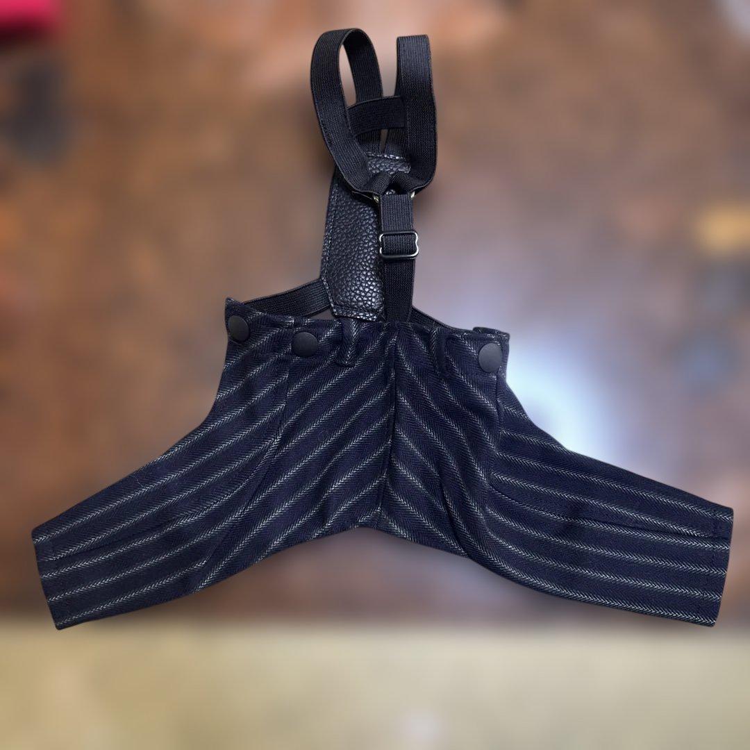 パピリーヒルズ 犬服 Tuxedo set up 黒と白のストライプ